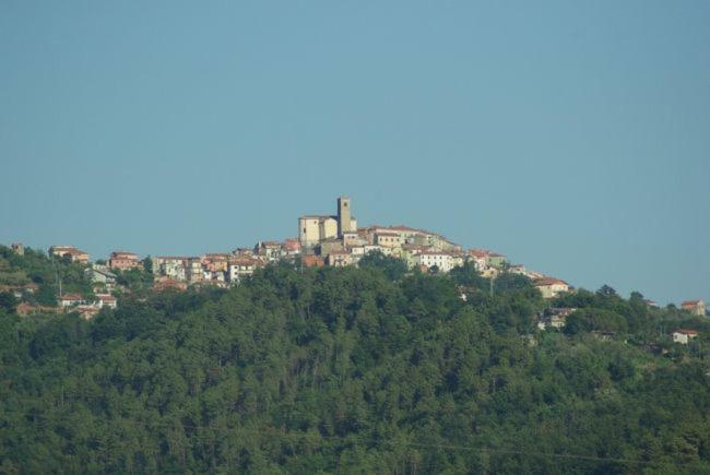 Casa Ro Panzió Albiano Kültér fotó